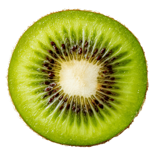 Kiwi fruit extract, the antioxidant botanical in Orenzia Pure Intensive Brightening Cream